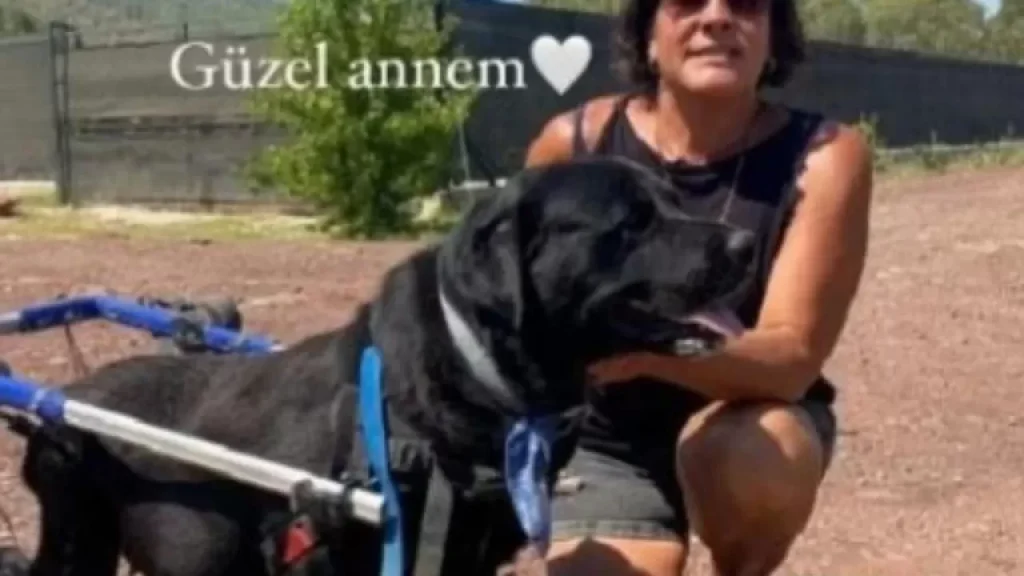 Tülay Yıldız: “Barınaktaki Hayvanlar Esaretten Kurtarılmalı!”