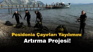 Muğla’da Posidonia Çayırlarını Çoğaltma Projesi Başlatıldı
